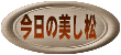 今日の美し松へジャンプ
