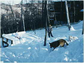 ��̃h�b�O����