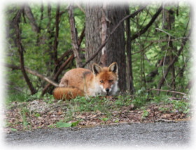 �G�T��ɗ����L�c�l